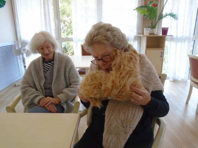 ROUDOUDOU NOTRE CHAT D’EMPATHIE