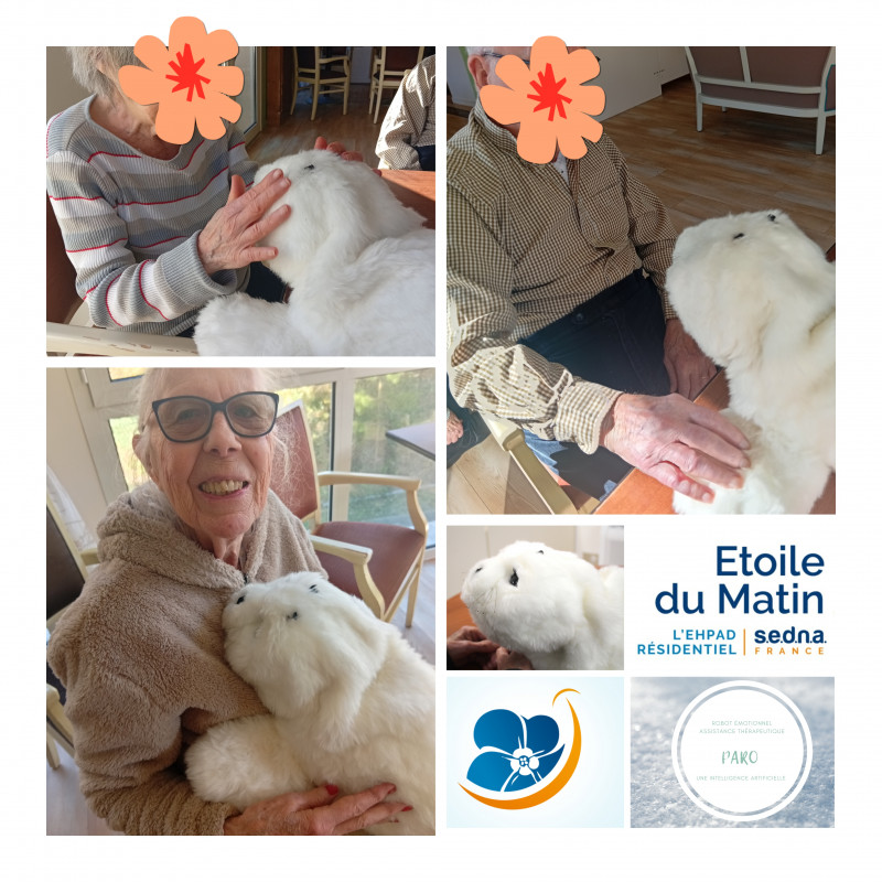 résidence médicalisée SEDNA France