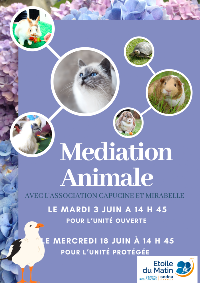actualité EHPAD SEDNA