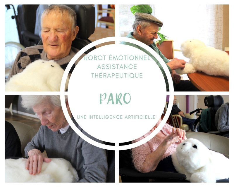 Paro le phoque émotionnel  interactif certifié dispositif médical