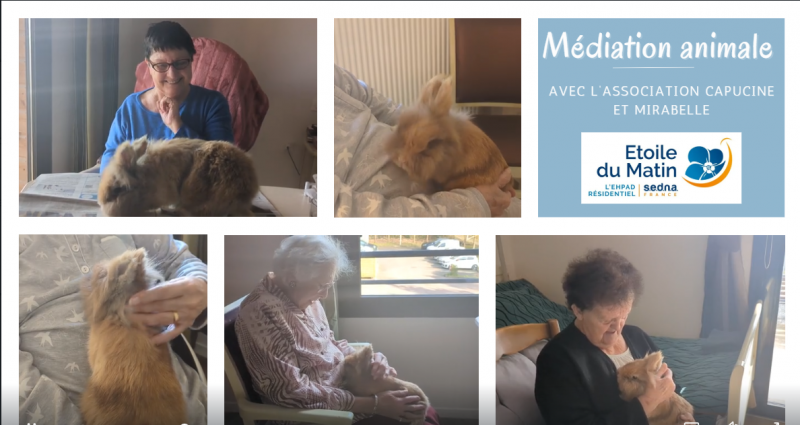 actualité EHPAD SEDNA