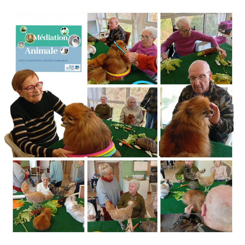 résidence médicalisée SEDNA France