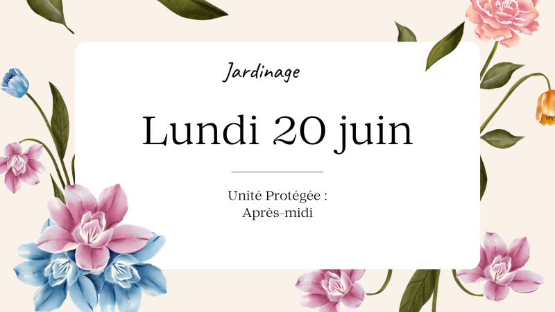 Lundi 20 juin : Jardinage à l'unité protégée