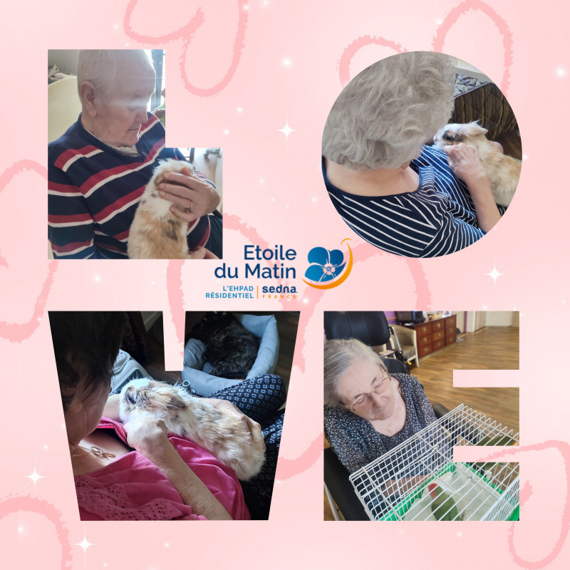 actualité EHPAD SEDNA