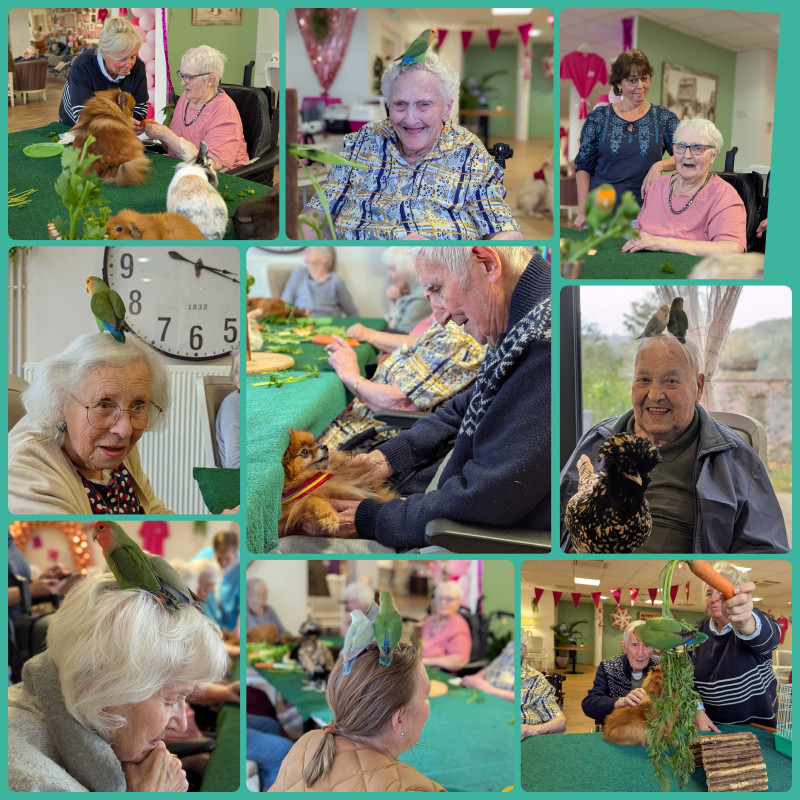 Paillette, le petit nouveau qui fait sensation