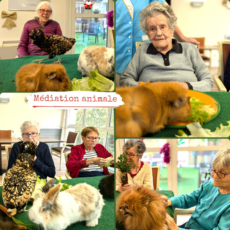ANIMATION À L'UNITÉ PROTÉGÉE EN NOVEMBRE 🐾 Médiation animale : émotions et tendresse