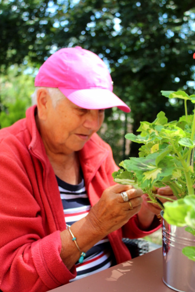 Jardinage au soleil