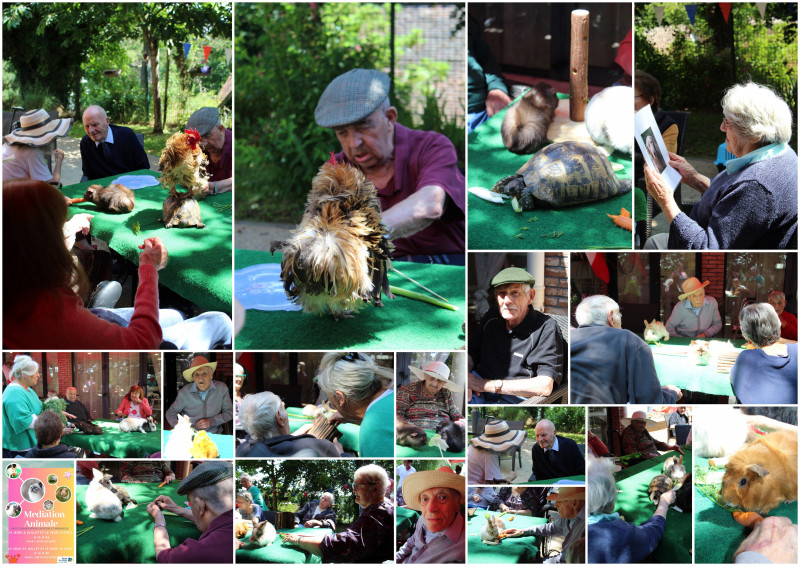 Une expérience de MÉDIATION ANIMALE  : ensoleillée une joyeuse rencontre sur la terrasse