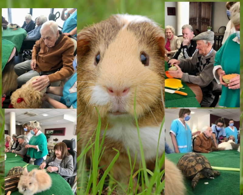 Atelier Médiation animale jeudi 6 mai 2022