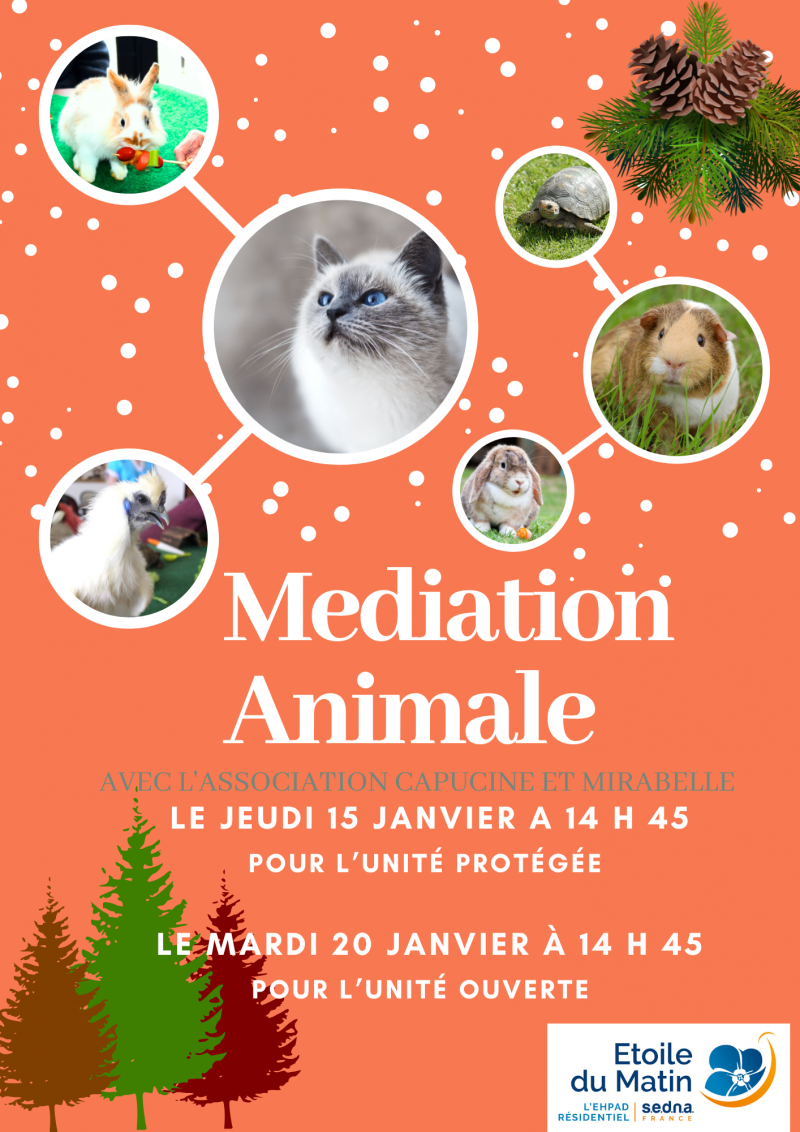 actualité EHPAD SEDNA