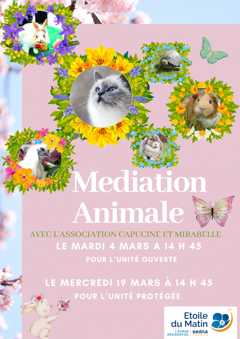actualité EHPAD SEDNA