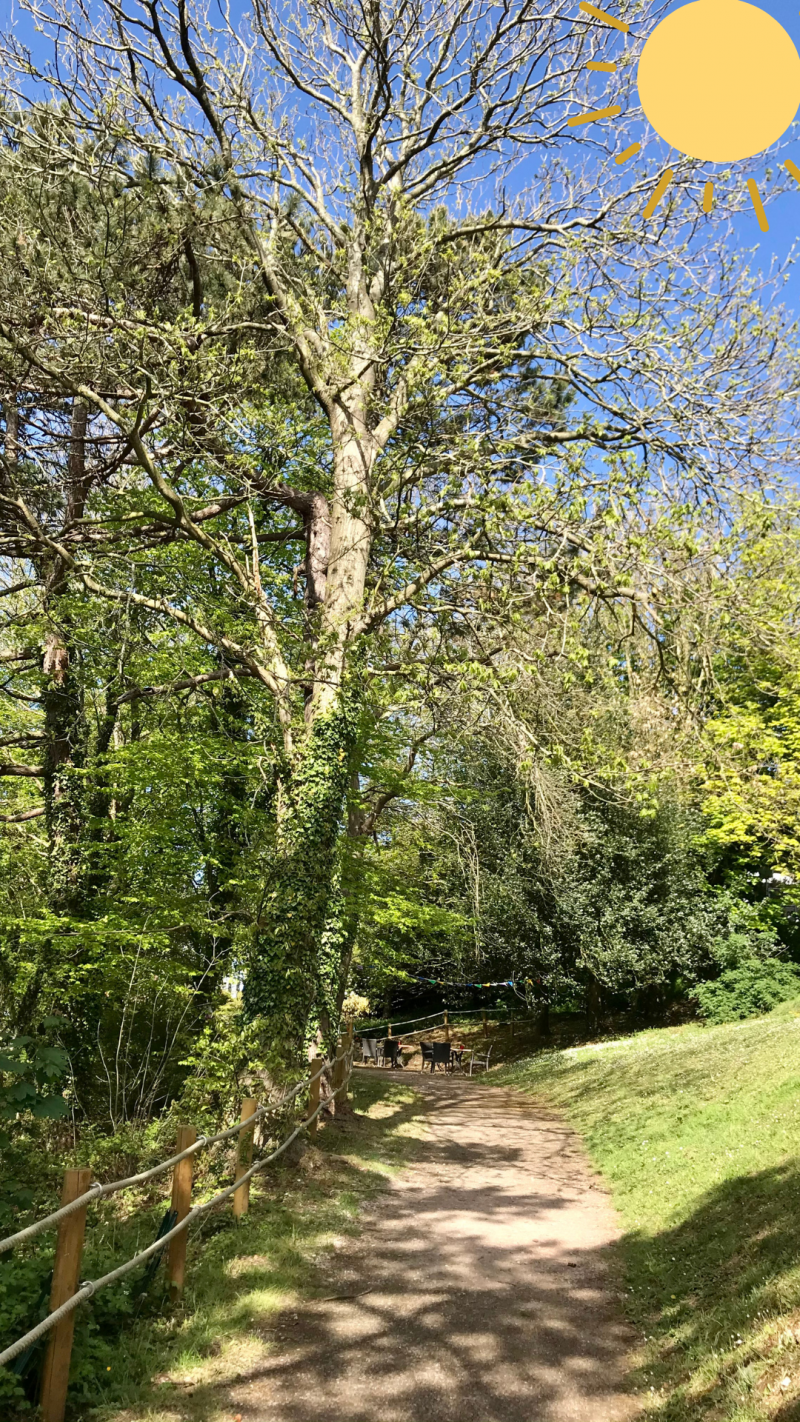 Atelier marche dans le jardin de la résidence