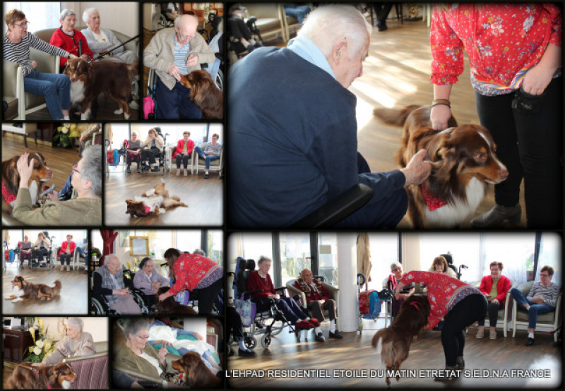 DÉCOUVERTE DU DRESSAGE DE CHIEN dans le cadre du projet « ensemble partageons une passion »