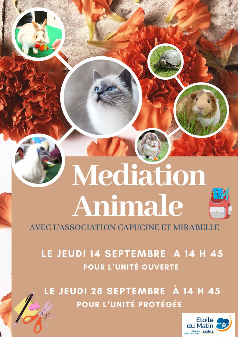 actualité EHPAD SEDNA