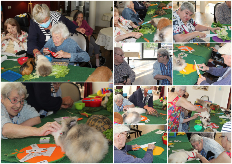 Médiation animale avec l’association Capucine et Mirabelle