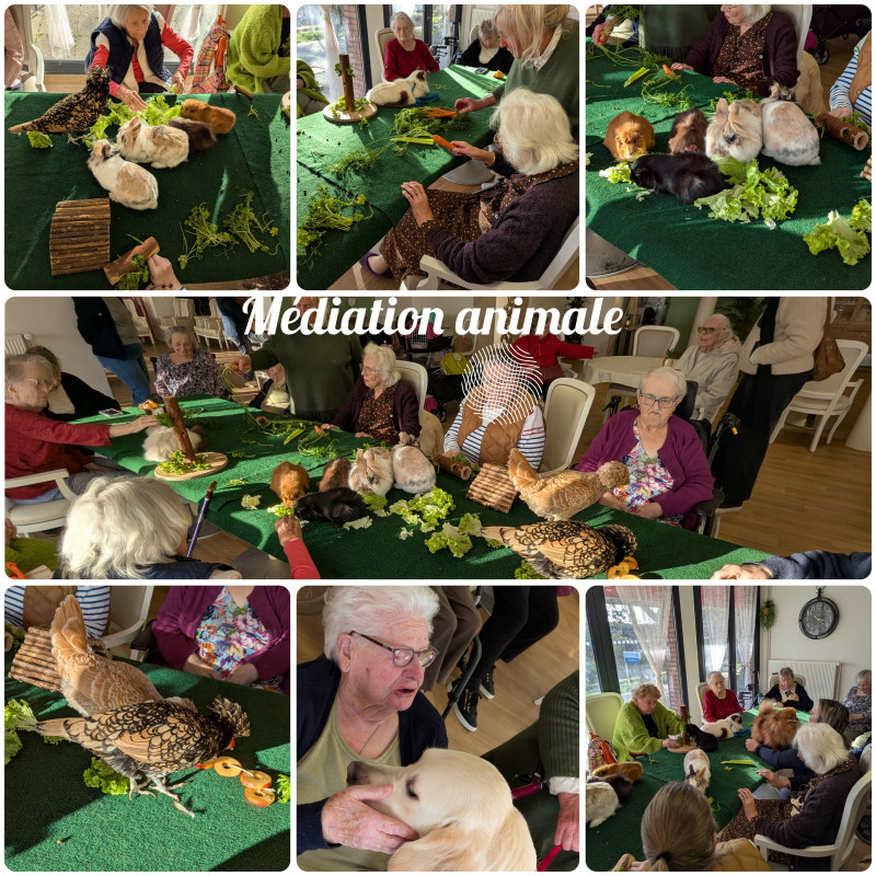 actualité EHPAD SEDNA