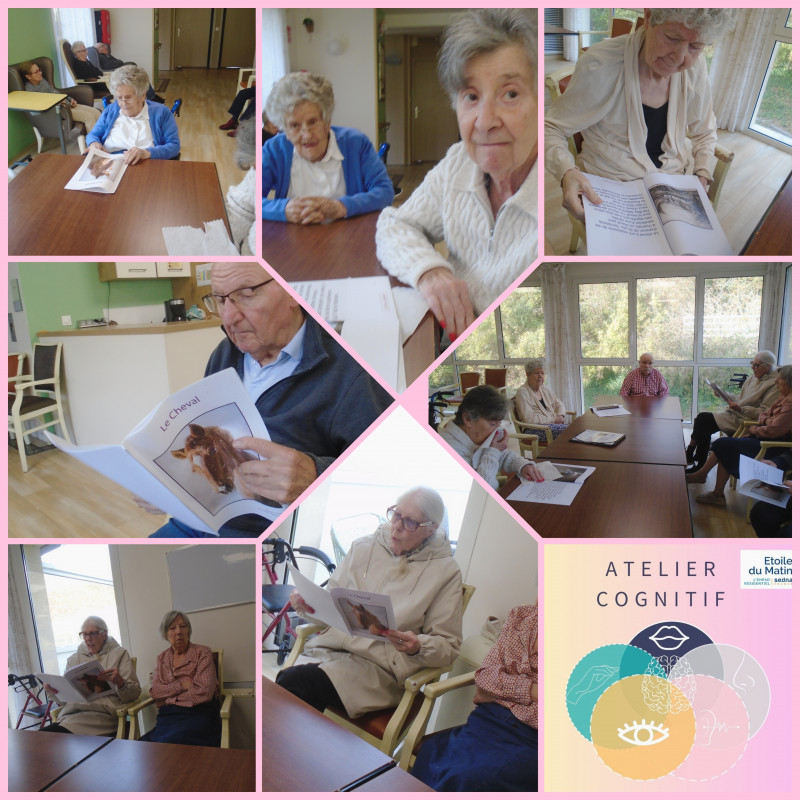 actualité EHPAD SEDNA