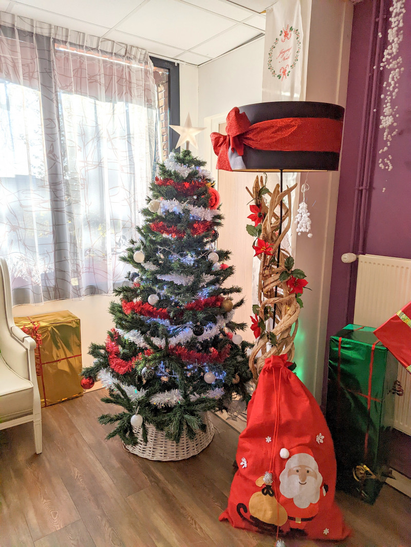 MONTAGE DU SAPIN ET DÉCORATION À LA RÉSIDENCE  avec Nina, Ergothérapeute, et Liva, Stagiaire en Animation
