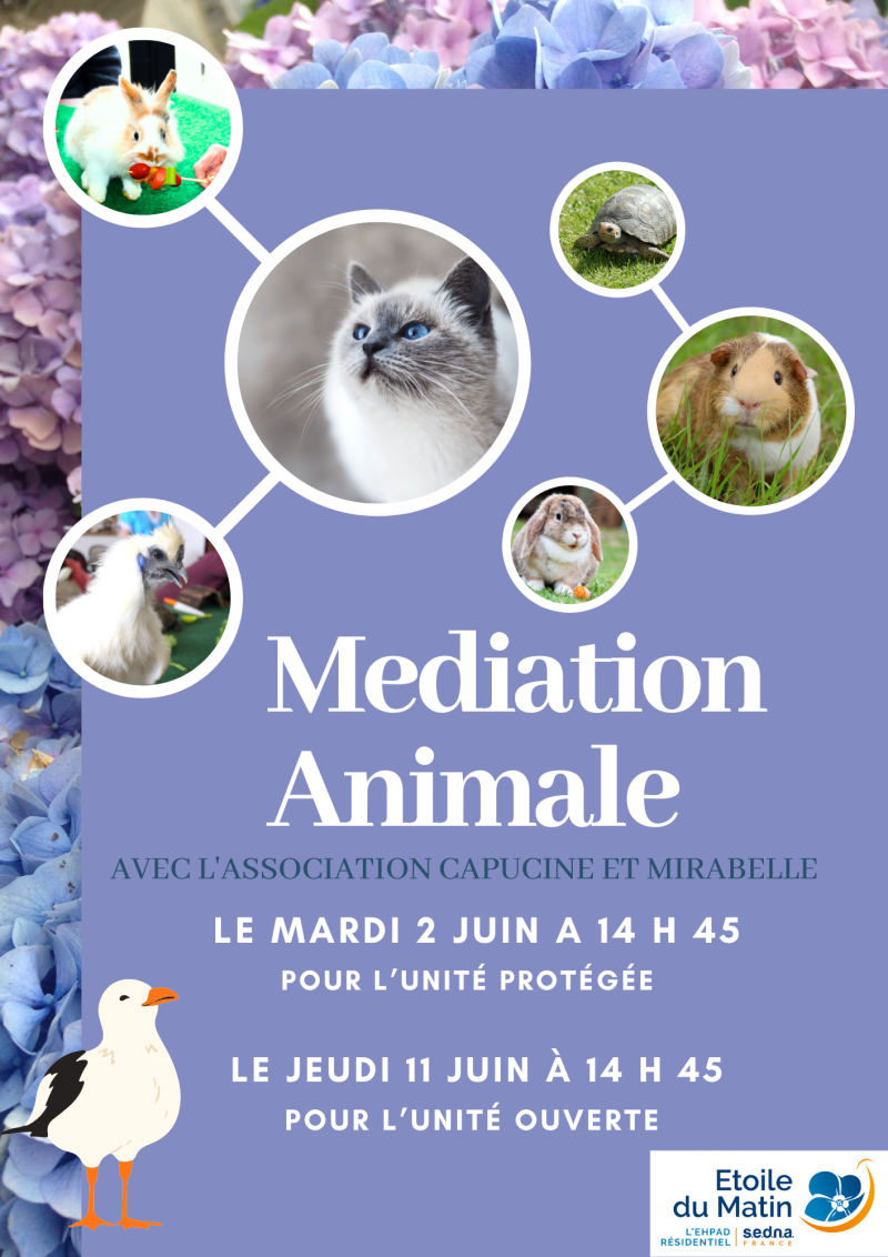 résidence médicalisée SEDNA France