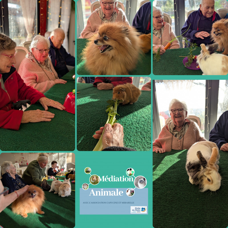 Mémoire, saveurs et câlins : une journée avec Astrid et ses animaux