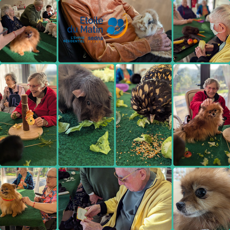 actualité EHPAD SEDNA