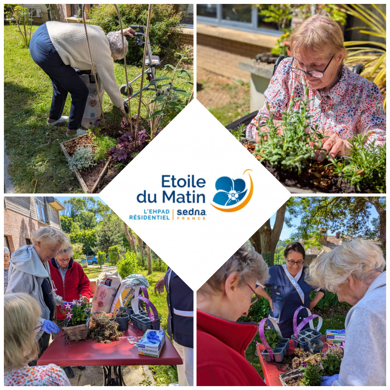 De la jardinerie à notre havre de paix : un jardin transformé