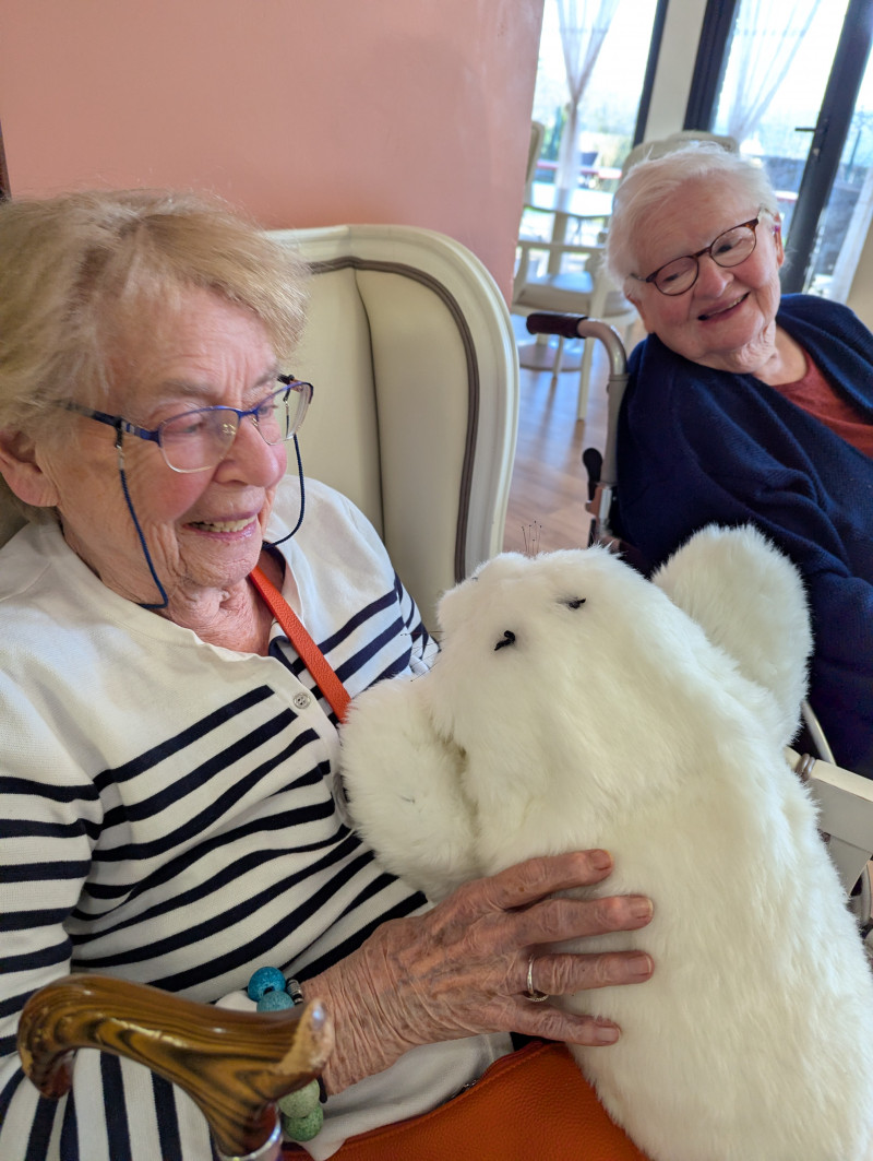 Un moment apaisant avec Paro