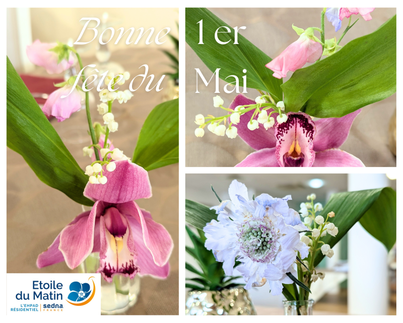 Un 1er mai fleuri à la Résidence Étoile du Matin 🌿