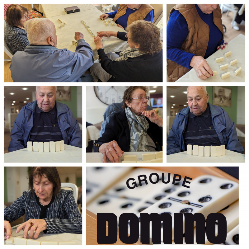 L'ART DU DOMINO