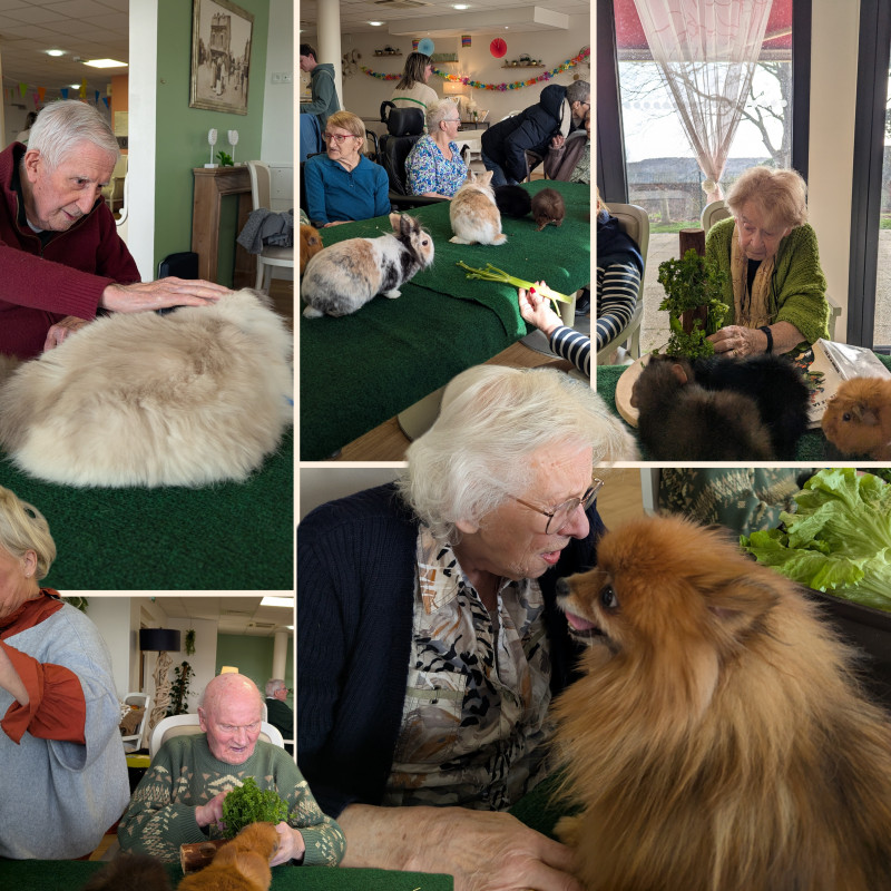 résidence médicalisée SEDNA France