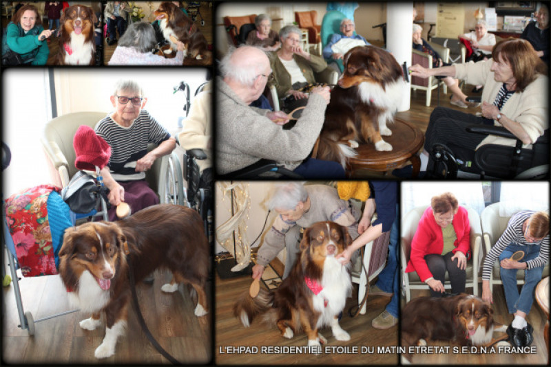 DÉCOUVERTE DU DRESSAGE DE CHIEN dans le cadre du projet « ensemble partageons une passion »