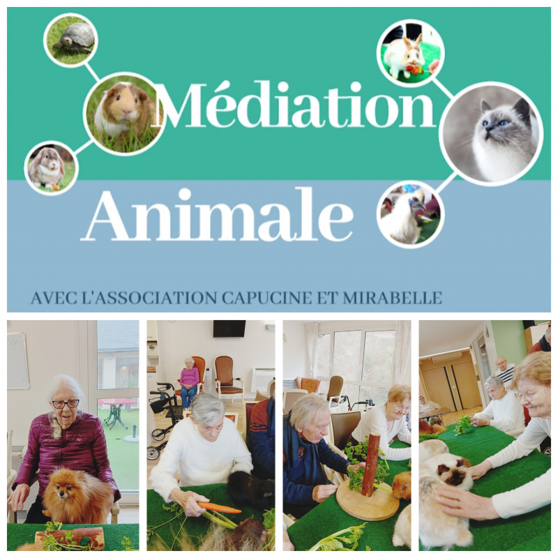 actualité EHPAD SEDNA