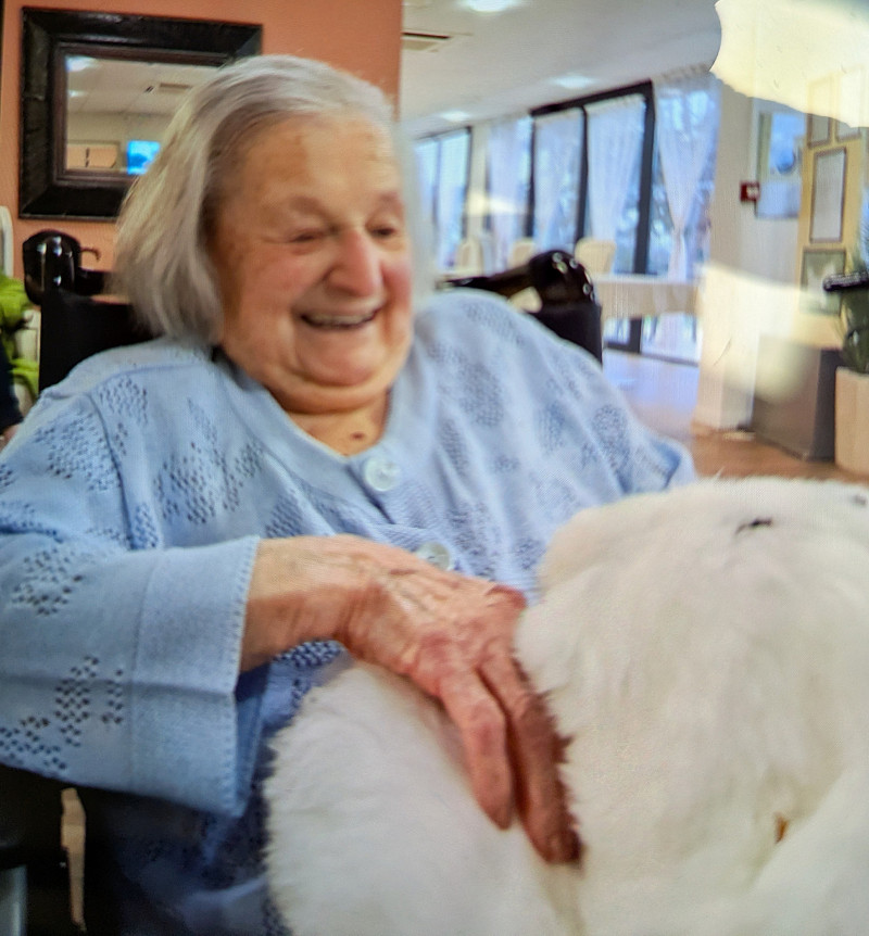 Paro : une approche thérapeutique innovante au service du bien-être