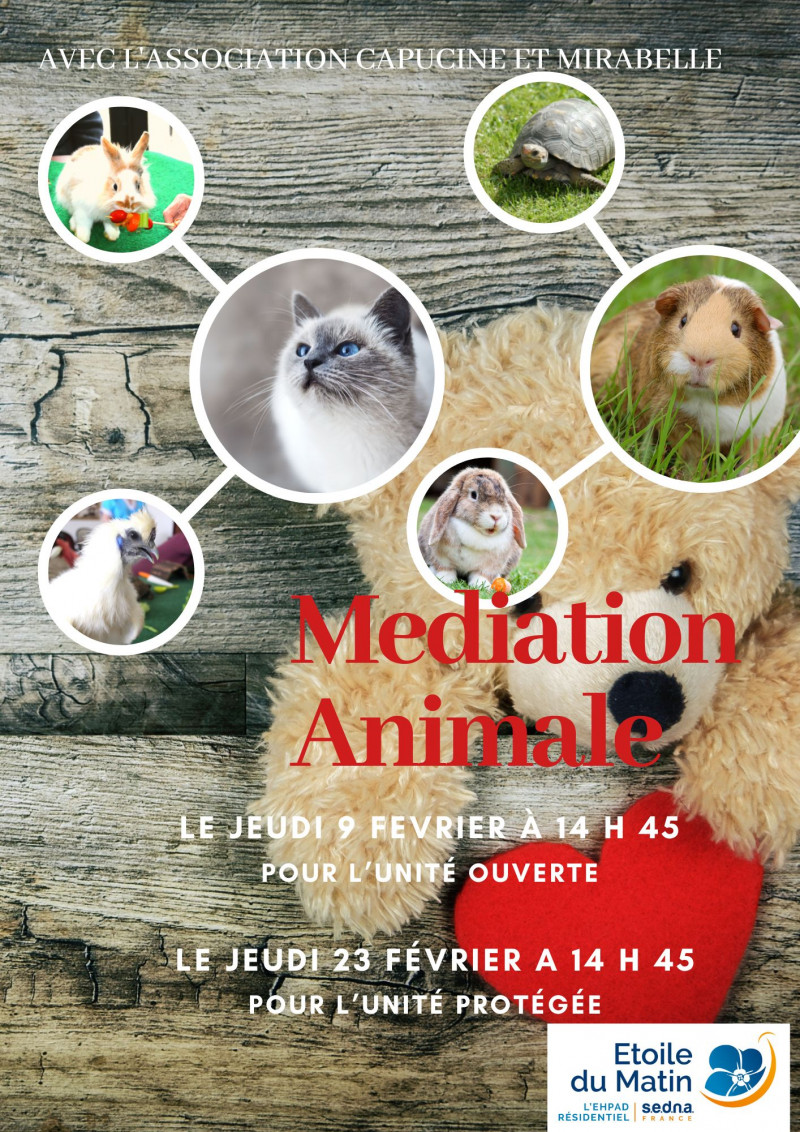 MÉDIATION ANIMALE EN FÉVRIER