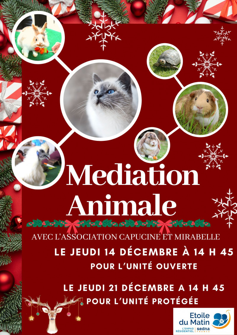actualité EHPAD SEDNA