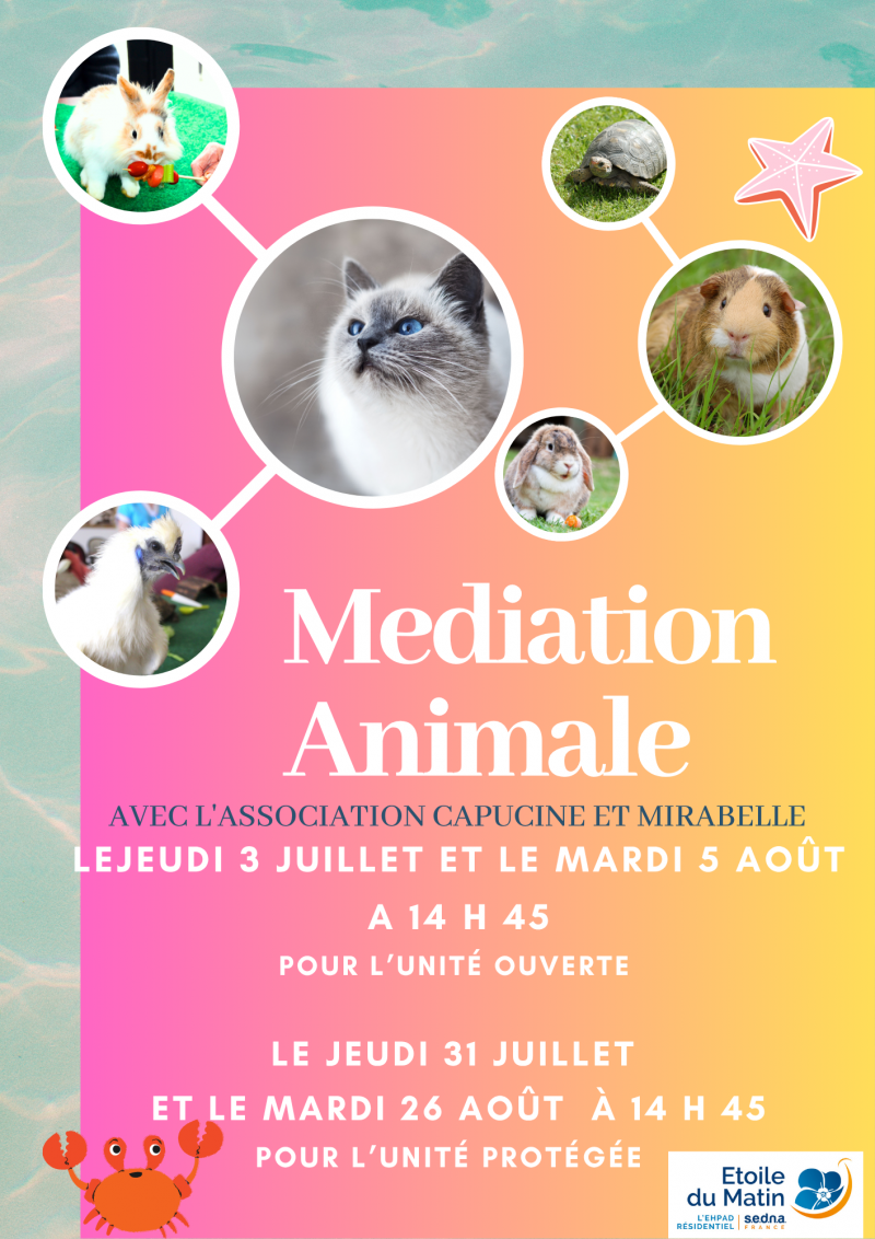 actualité EHPAD SEDNA
