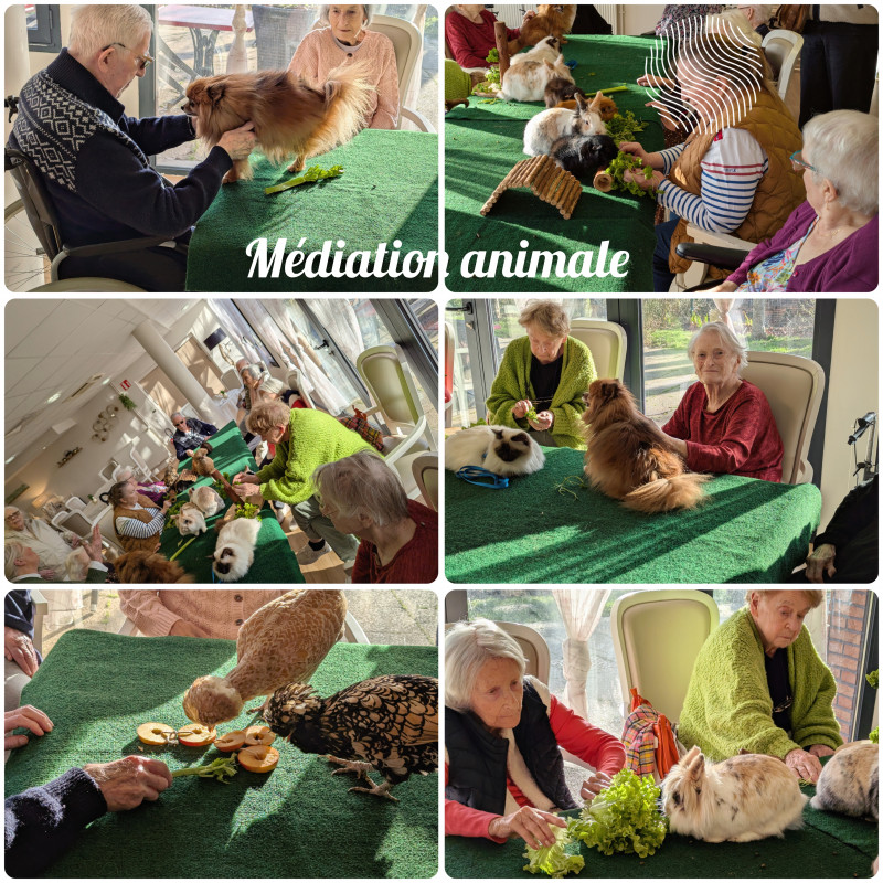 Petites rencontres animales, grands moments de bien-être