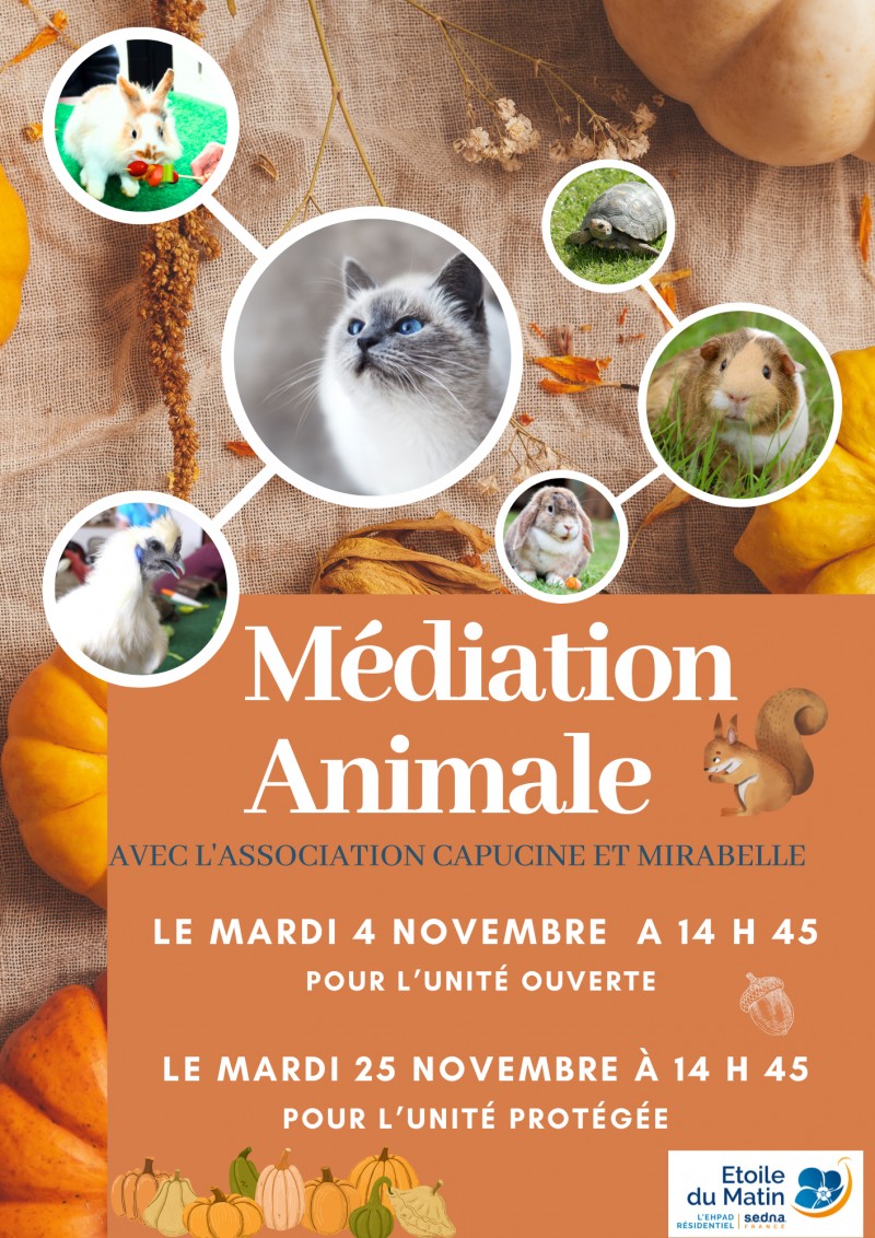 actualité EHPAD SEDNA