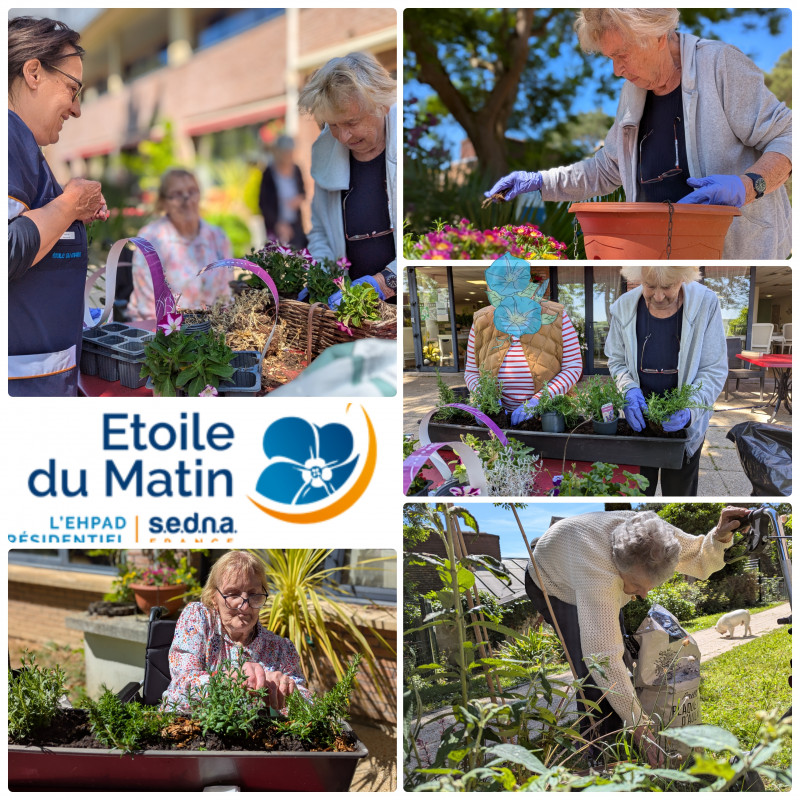 De la jardinerie à notre havre de paix : un jardin transformé
