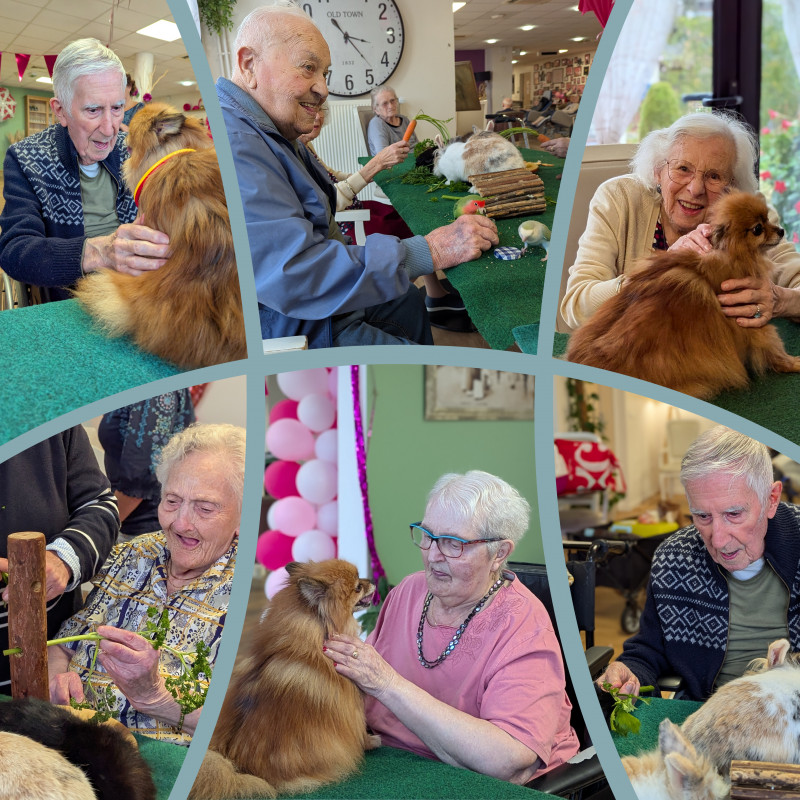 actualité EHPAD SEDNA