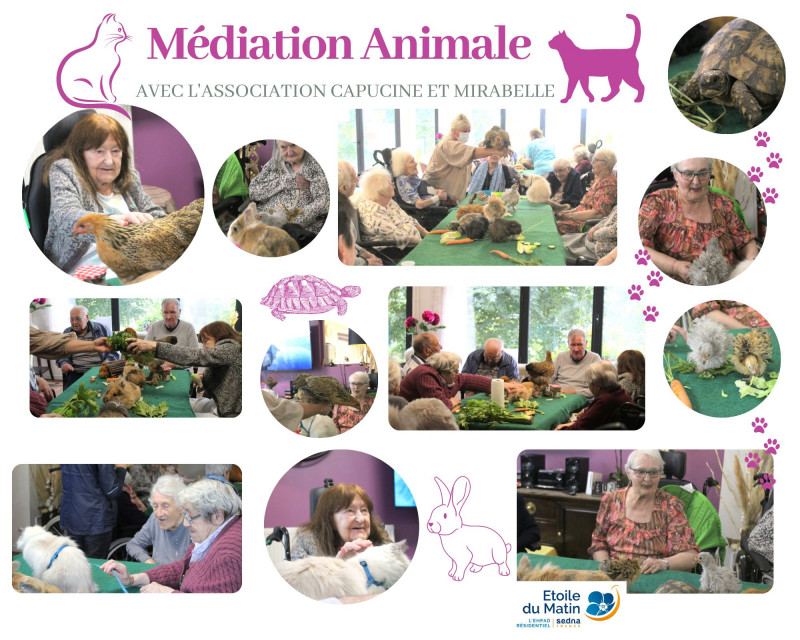 MÉDIATION ANIMALE AVEC L’ASSOCIATION CAPUCINE ET MIRABELLE