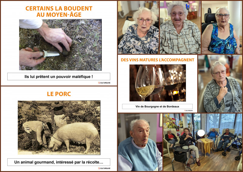 actualité EHPAD SEDNA