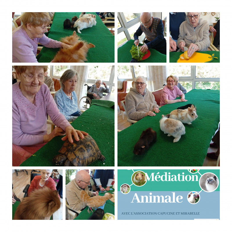 résidence médicalisée SEDNA France