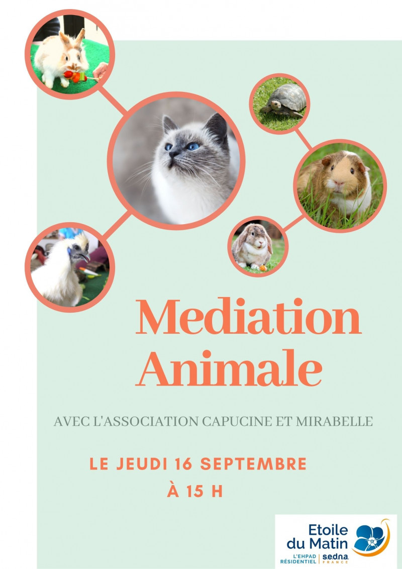 actualité EHPAD SEDNA