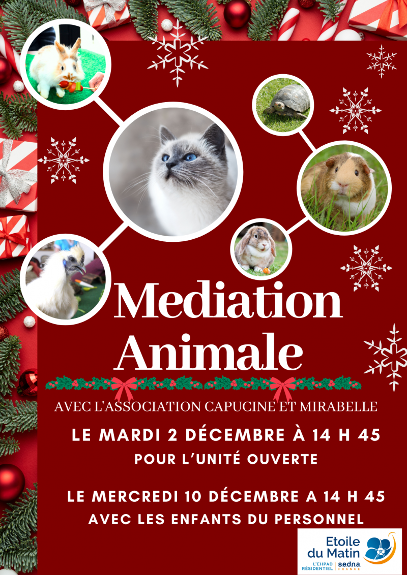 actualité EHPAD SEDNA