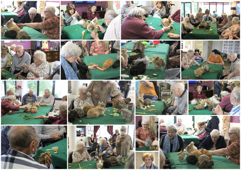 MÉDIATION ANIMALE AVEC L’ASSOCIATION CAPUCINE ET MIRABELLE