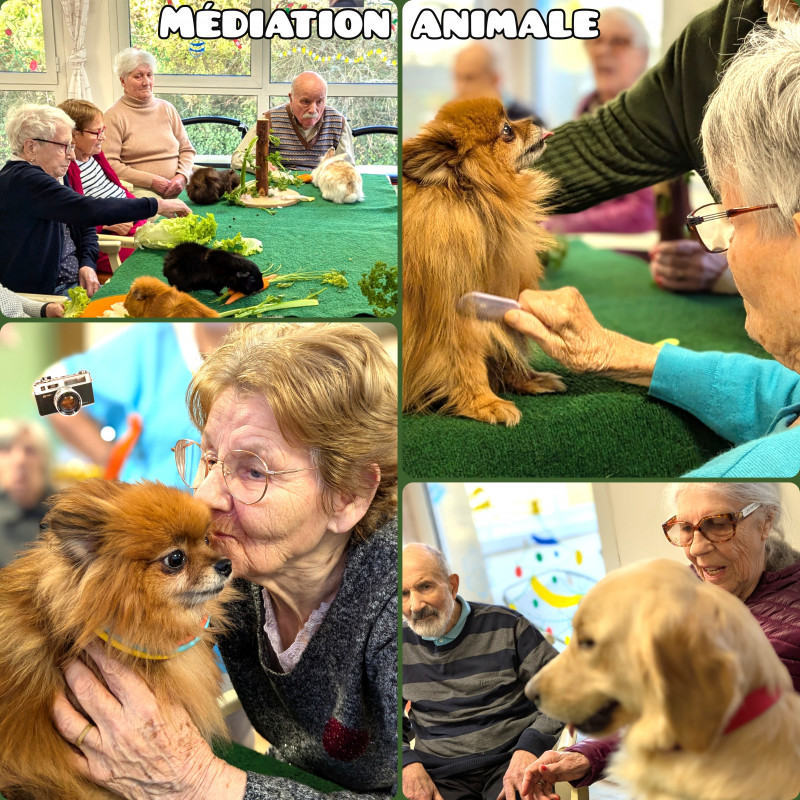 actualité EHPAD SEDNA