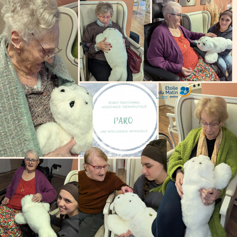 résidence médicalisée SEDNA France