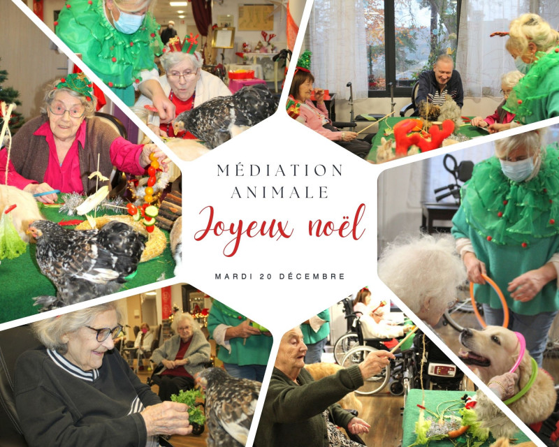 actualité EHPAD SEDNA