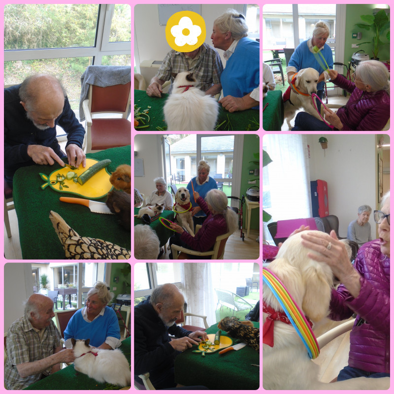 actualité EHPAD SEDNA